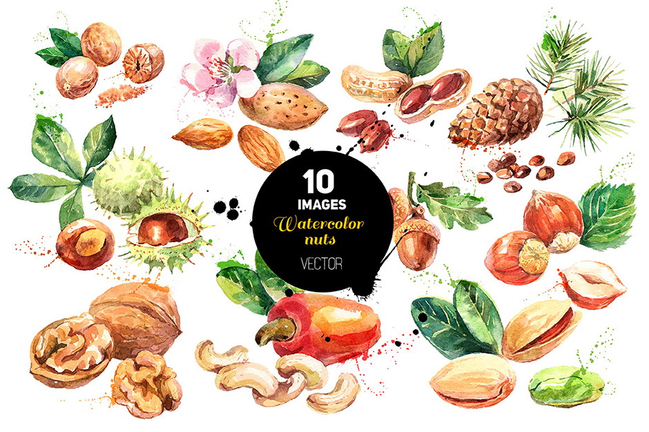 940x626 Watercolor Nuts Vector Set