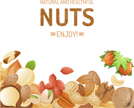 451x364 Different Nuts Vector Background Graphics Free Vector In Adobe