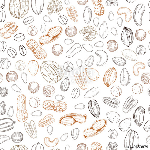 500x500 Hand Drawn Nuts Vector Seamless Pattern Stock Image And Royalty
