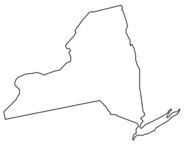 Ny State Vector