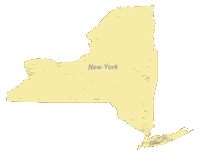 200x155 New York Digital Vector Maps