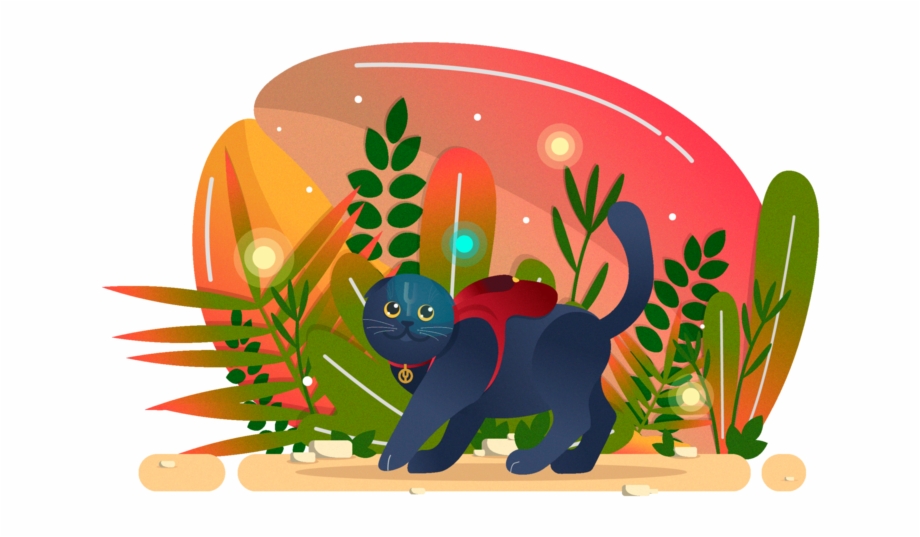 920x537 O Nyan Orange Cat Time Red Purple Dribbble Vector Pink