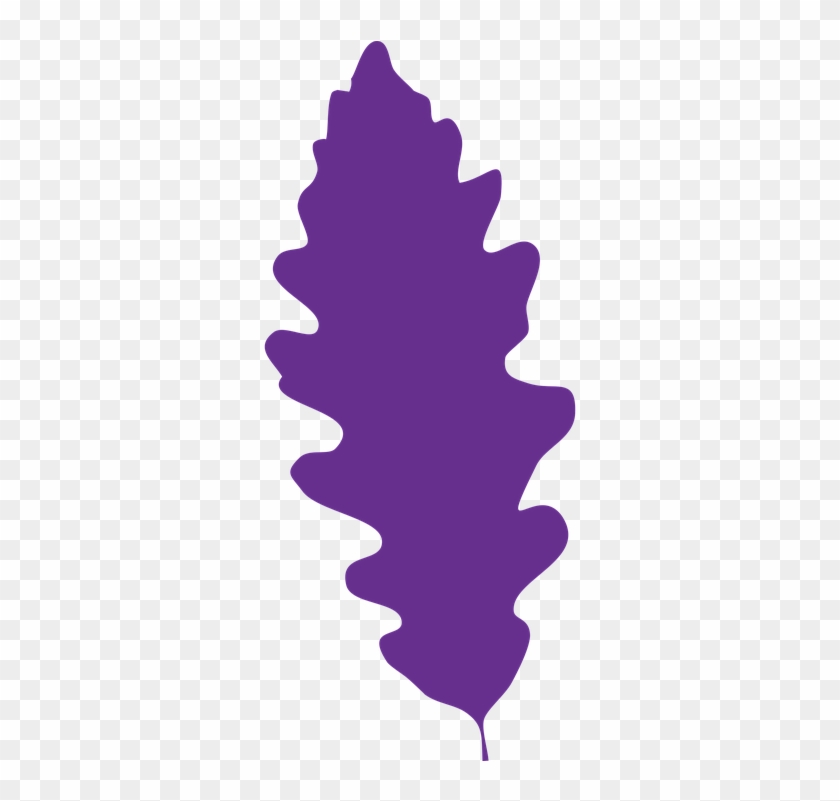 Oak Leaf Vector Buy Clip Art 840x801 Oak Leaf Vector Buy Clip Art