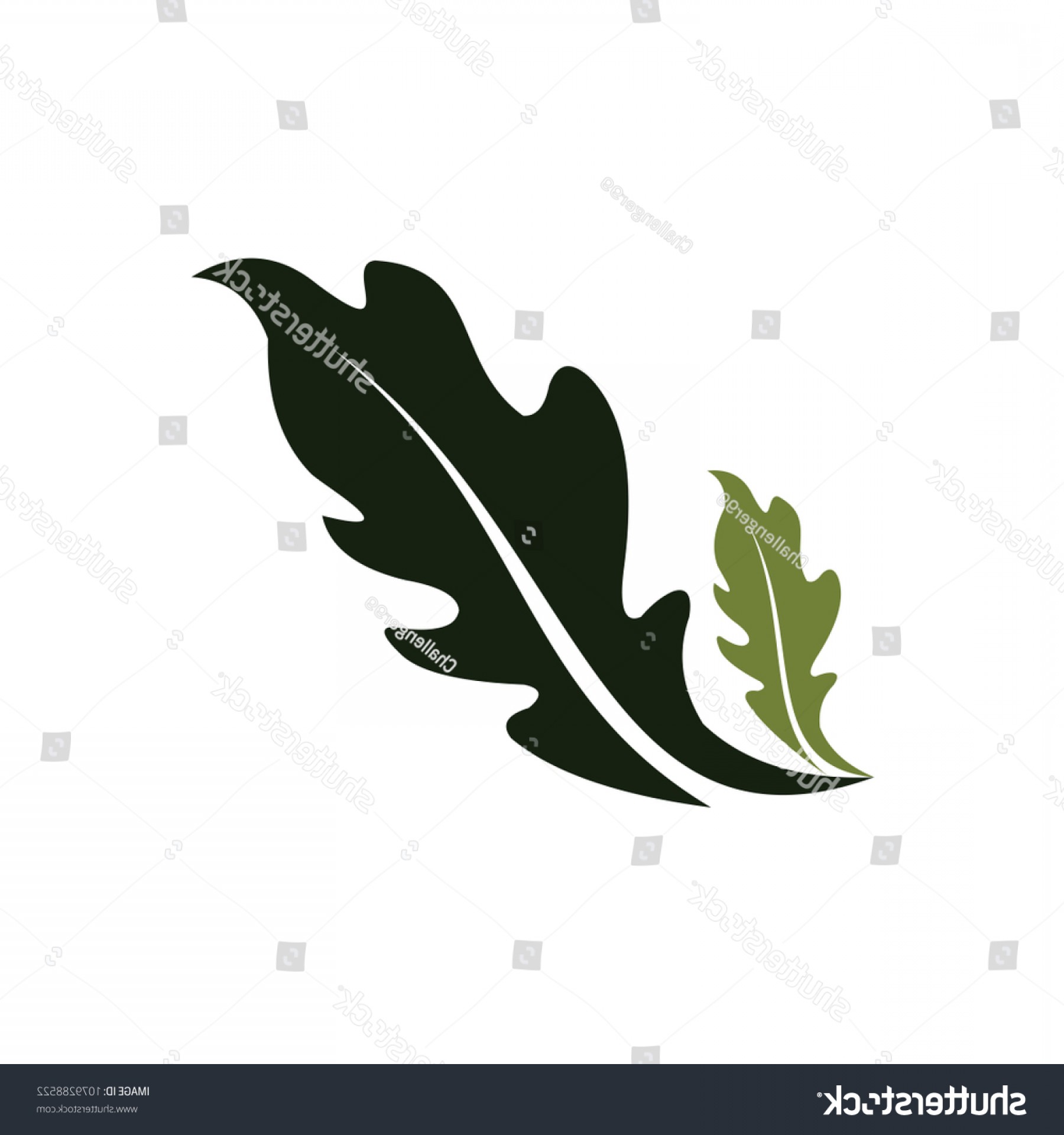 Oak Leaf Vector Clip Art Catchsplace 1800x1920 Oak Leaf Vector Clip Art Catchsplace