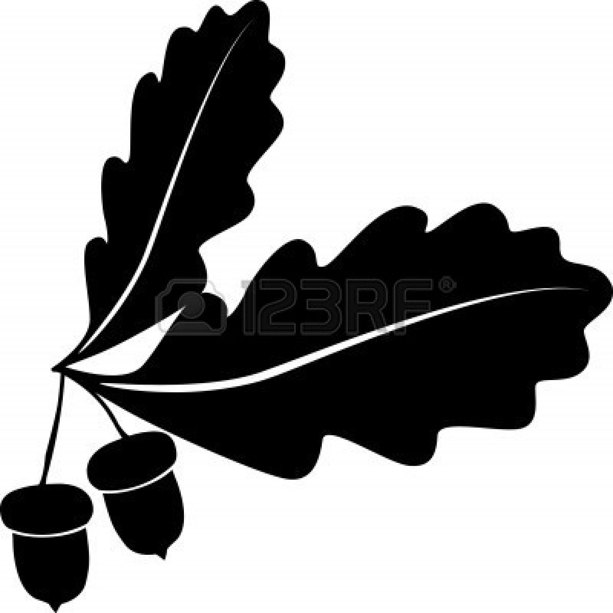Oak Leaf Vector Images 1200x1200 Oak Leaf Vector Images