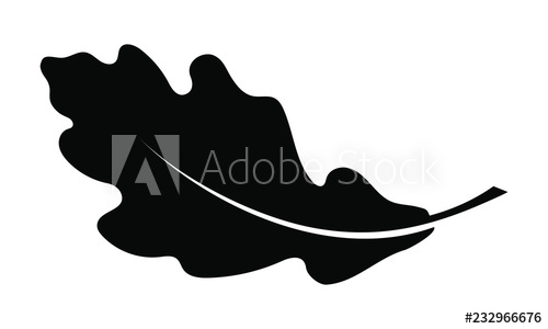 Oak Leaf Icon Isolated On White Background Oak Leaf Vector Logo 500x300 Oak Leaf Icon Isolated On White Background Oak Leaf Vector Logo