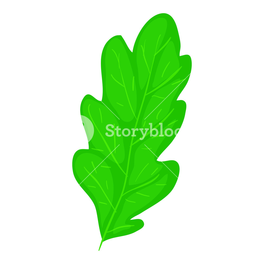 Oak Leaf Icon Cartoon Illustration Of Oak Leaf Vector Icon 1000x1000 Oak Leaf Icon Cartoon Illustration Of Oak Leaf Vector Icon