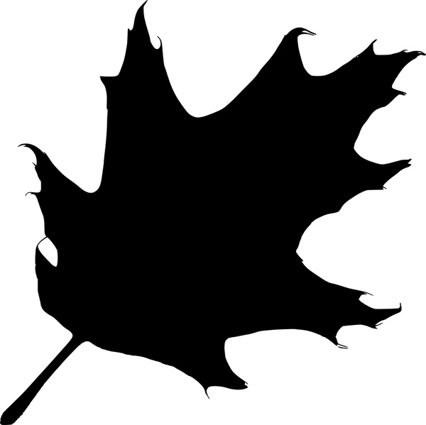 Oak Leaf Silhouette Free Vector In Open Office Drawing 600x599 Oak Leaf Silhouette Free Vector In Open Office Drawing
