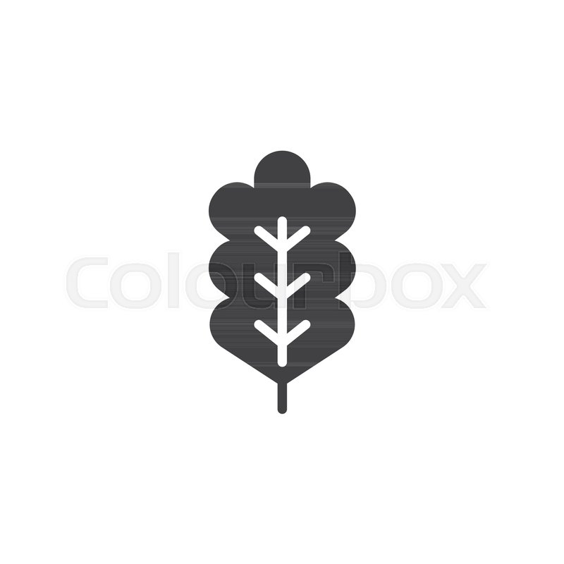 Oak Leaf Vector Icon Filled Flat Sign Stock Vector Colourbox 800x800 Oak Leaf Vector Icon Filled Flat Sign Stock Vector Colourbox
