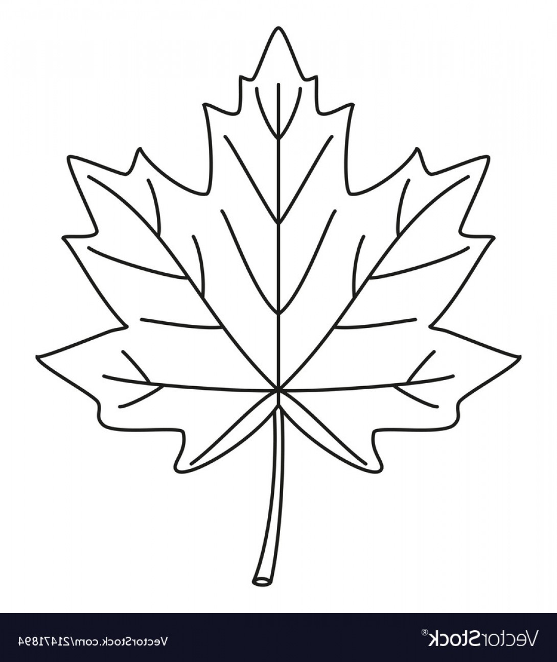 White Oak Leaf Outline Clip Art Vector Studiogrfx 1090x1296 White Oak Leaf Outline Clip Art Vector Studiogrfx