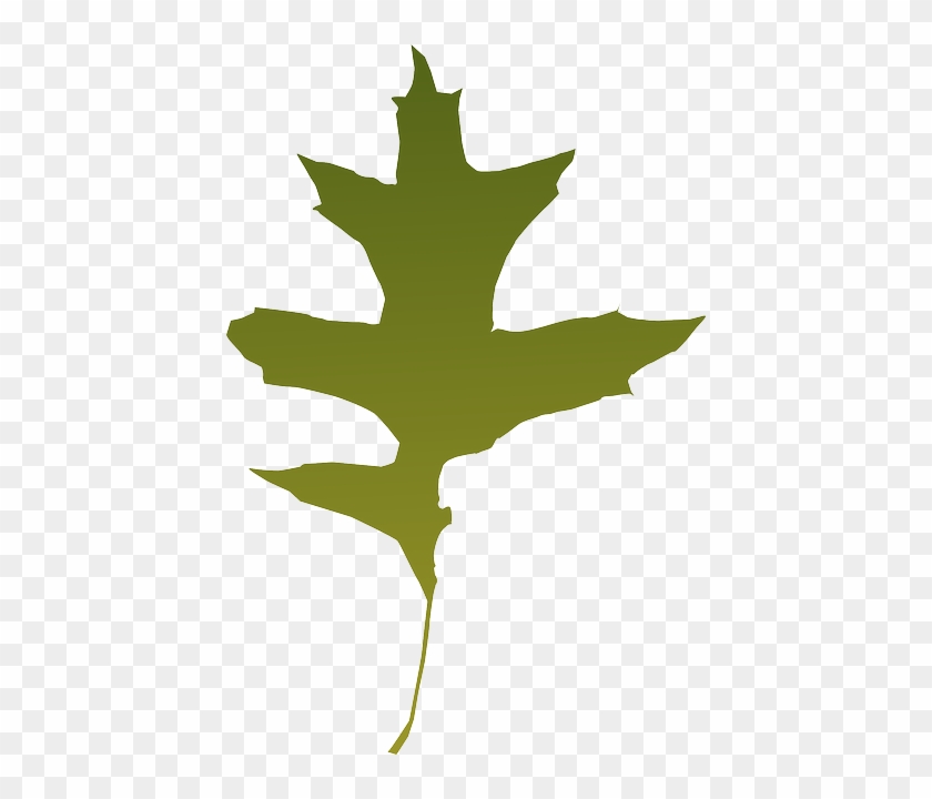 Foliage, Autumn, Leaf, Nature, Tree, Green, Dry 840x720 Foliage, Autumn, Leaf, Nature, Tree, Green, Dry