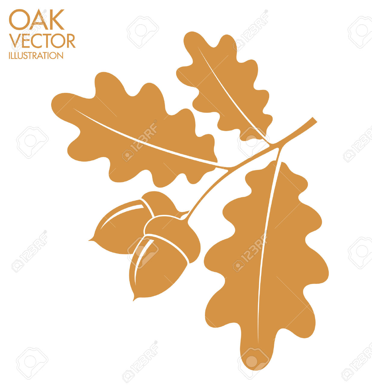 Oak Leaf Graphic Group With Items 1236x1300 Oak Leaf Graphic Group With Items