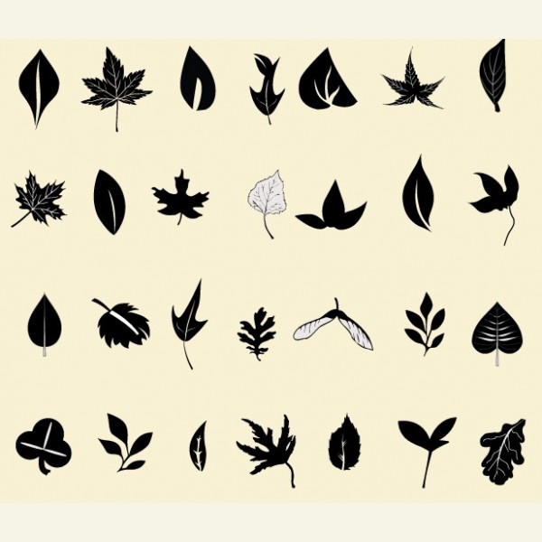 Oak Leaf Vector Free