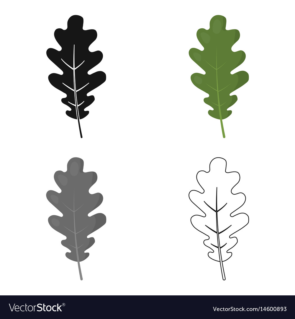 1000x1080 Oak Leaf Vector