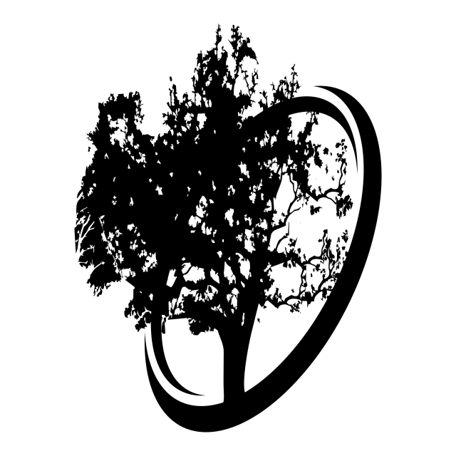 640x640 Oak Tree, Tree, Branch, Leaf Png And Vector With Transparent