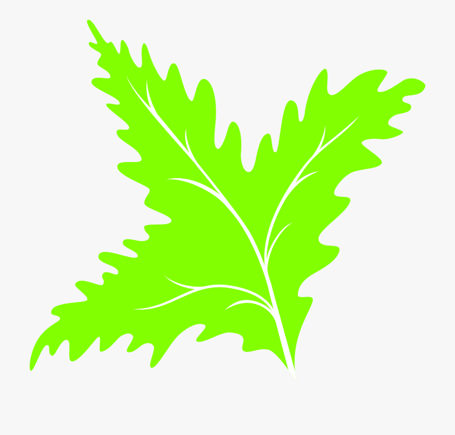 920x881 Vector Oak Tree