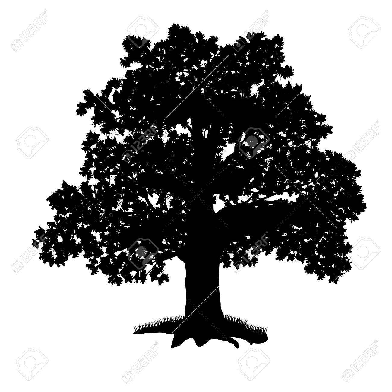 1300x1300 Oak Tree Silhouette Vector Free