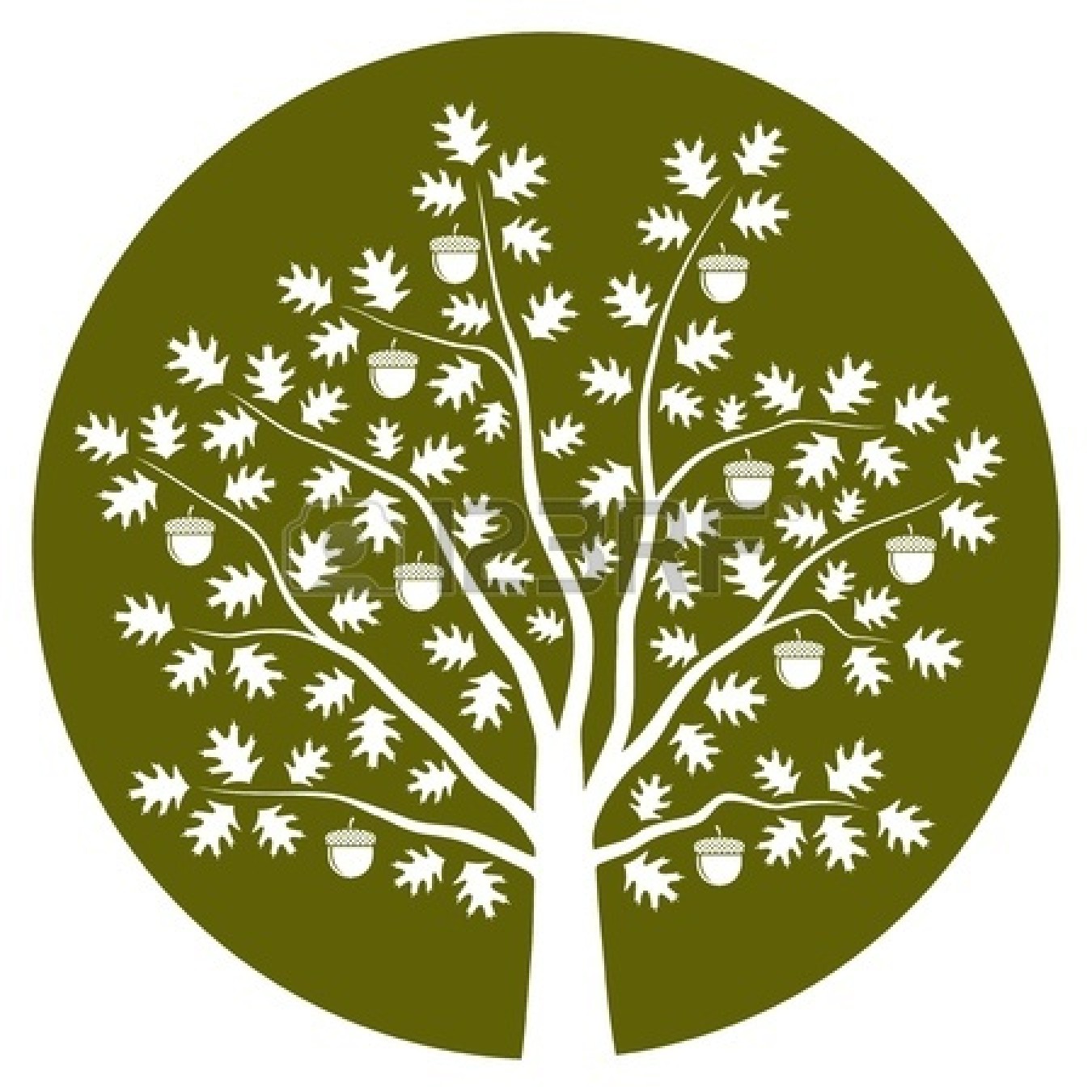 1350x1350 Oak Tree Vector Icon