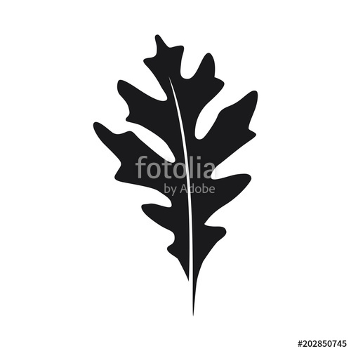 500x500 Oak Leaf Vector Logo Isolated Logo Templates Stock Image