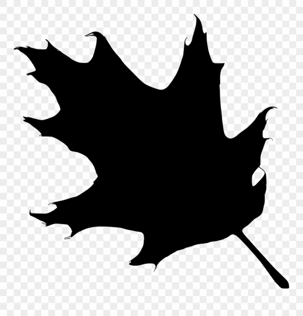 Oak Leaf Vector Free at Vectorified.com | Collection of Oak Leaf Vector ...