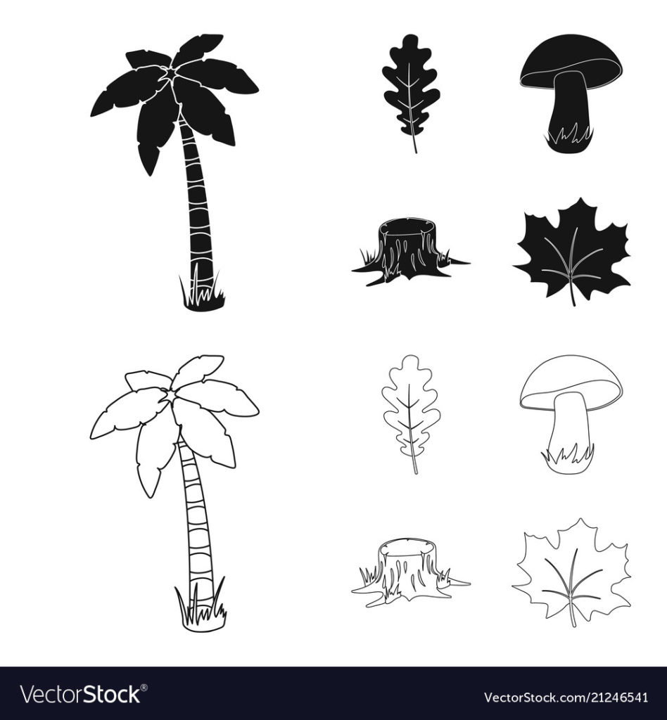 948x1024 Coloring Astonishing Oak Leaf Outline Inspirationloring Mushroom