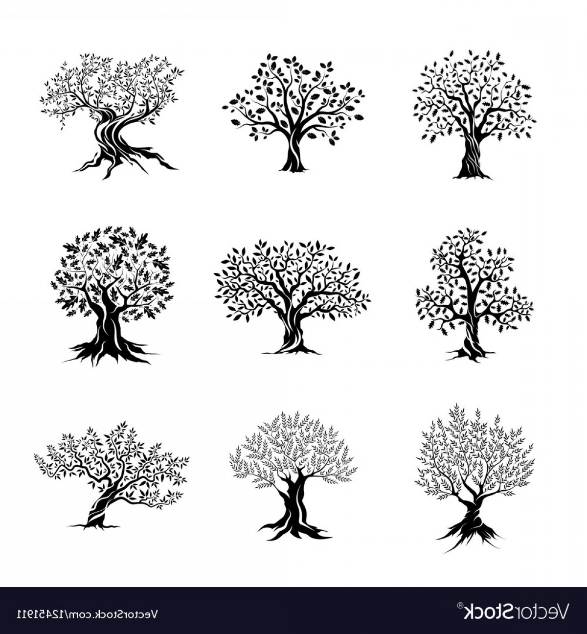 1200x1296 Magnificent Olive And Oak Trees Silhouette Vector Createmepink