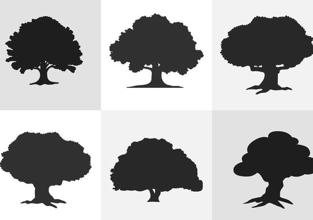 Oak Tree Silhouette Vector at Vectorified.com | Collection of Oak Tree ...