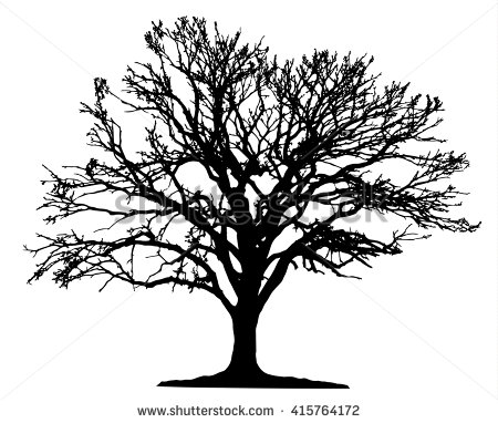 450x382 Oak Tree Silhouette Group With Items