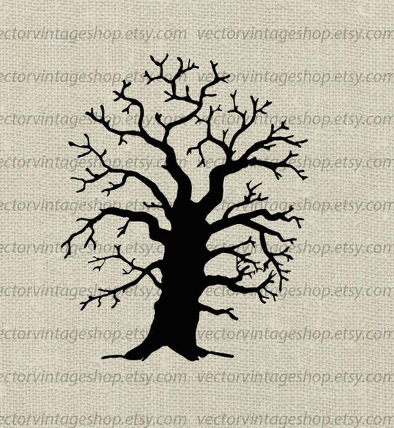 570x619 Oak Tree Vector Clipart Commercial Use Tree Silhouette Etsy