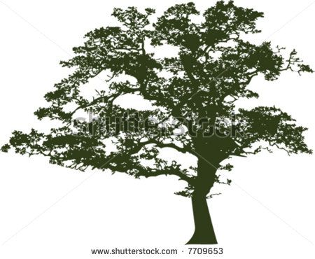 450x370 Oak Tree Black White Free Vector For Free Download