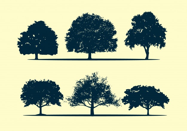626x438 Oak Tree Silhouette Vector Premium Download