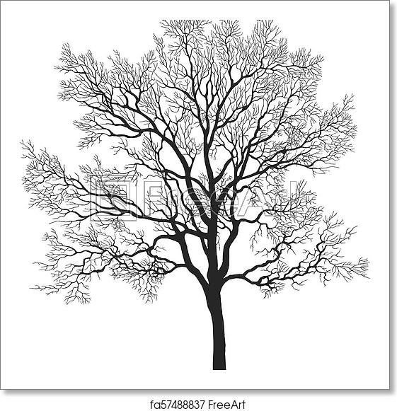561x581 Free Art Print Of Oak Tree Vector Silhouette Vector Oak Leafless