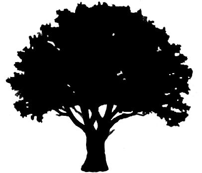 406x348 Free Download Oak Tree Outline Clipart For Your Creation