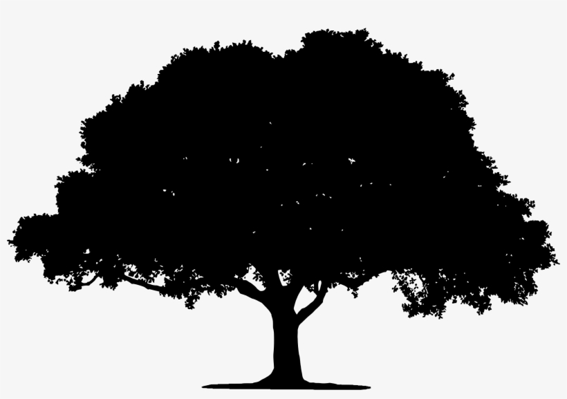 Oak Tree Silhouette Vector Free at Collection of Oak