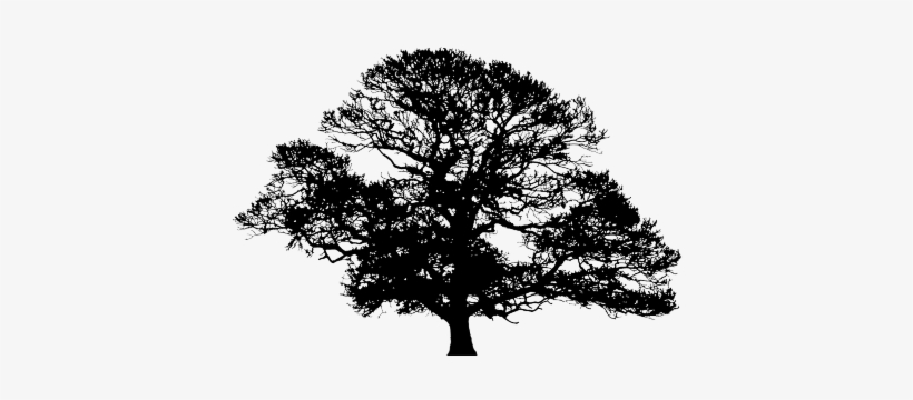 820x360 Oak Tree Silhouette Png Download Transparent Oak Tree Silhouette