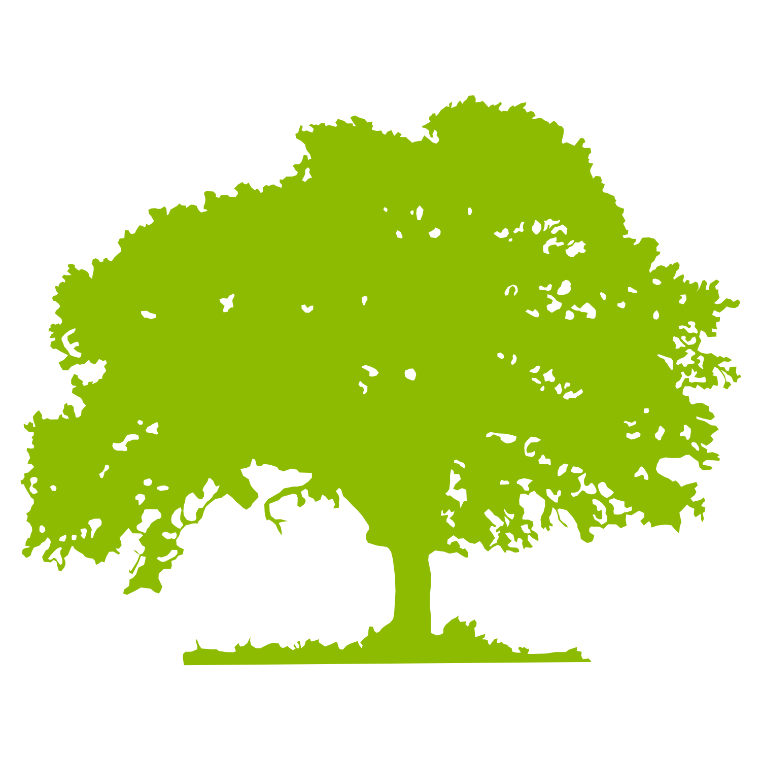 1500x1500 Oak Tree Vector Art Free Images