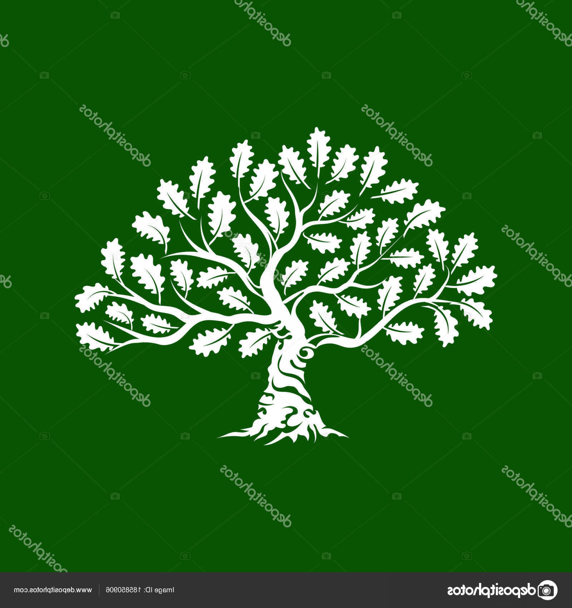 1920x2040 Oak Tree Vector Art Free Hoodamathrun