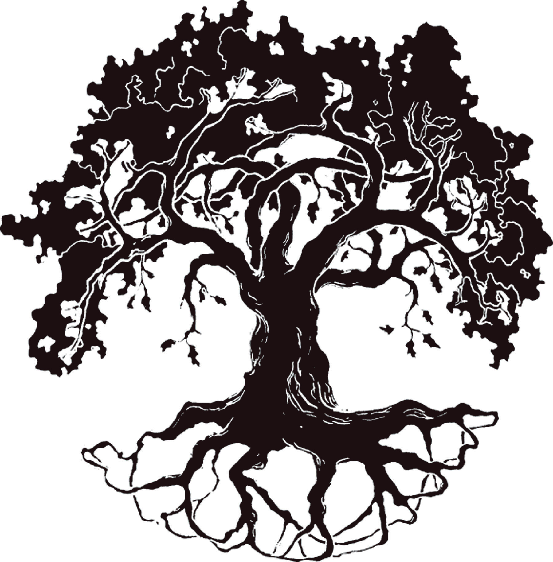 1800x1831 Oaktree Clipart Royalty Free For Free Download And Use Images