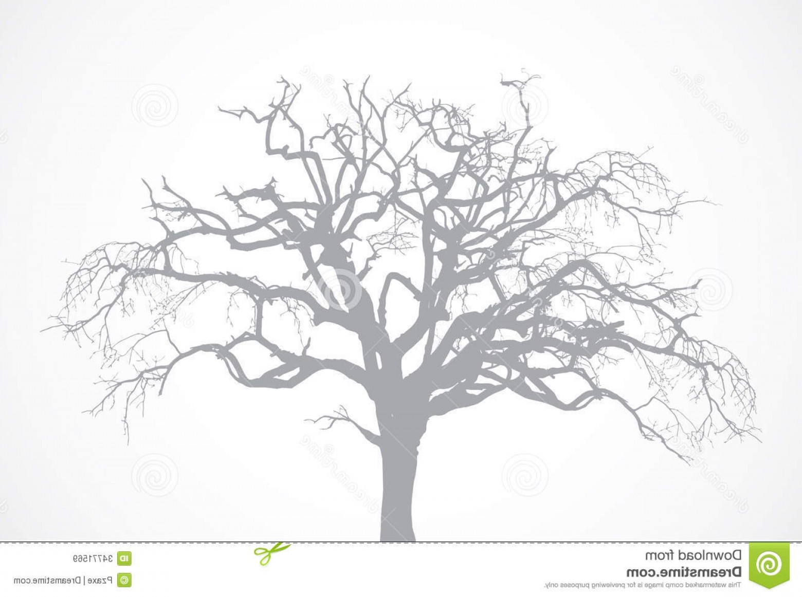 1560x1162 Royalty Free Stock Images Vector Bare Old Dry Dead Tree Silhouette
