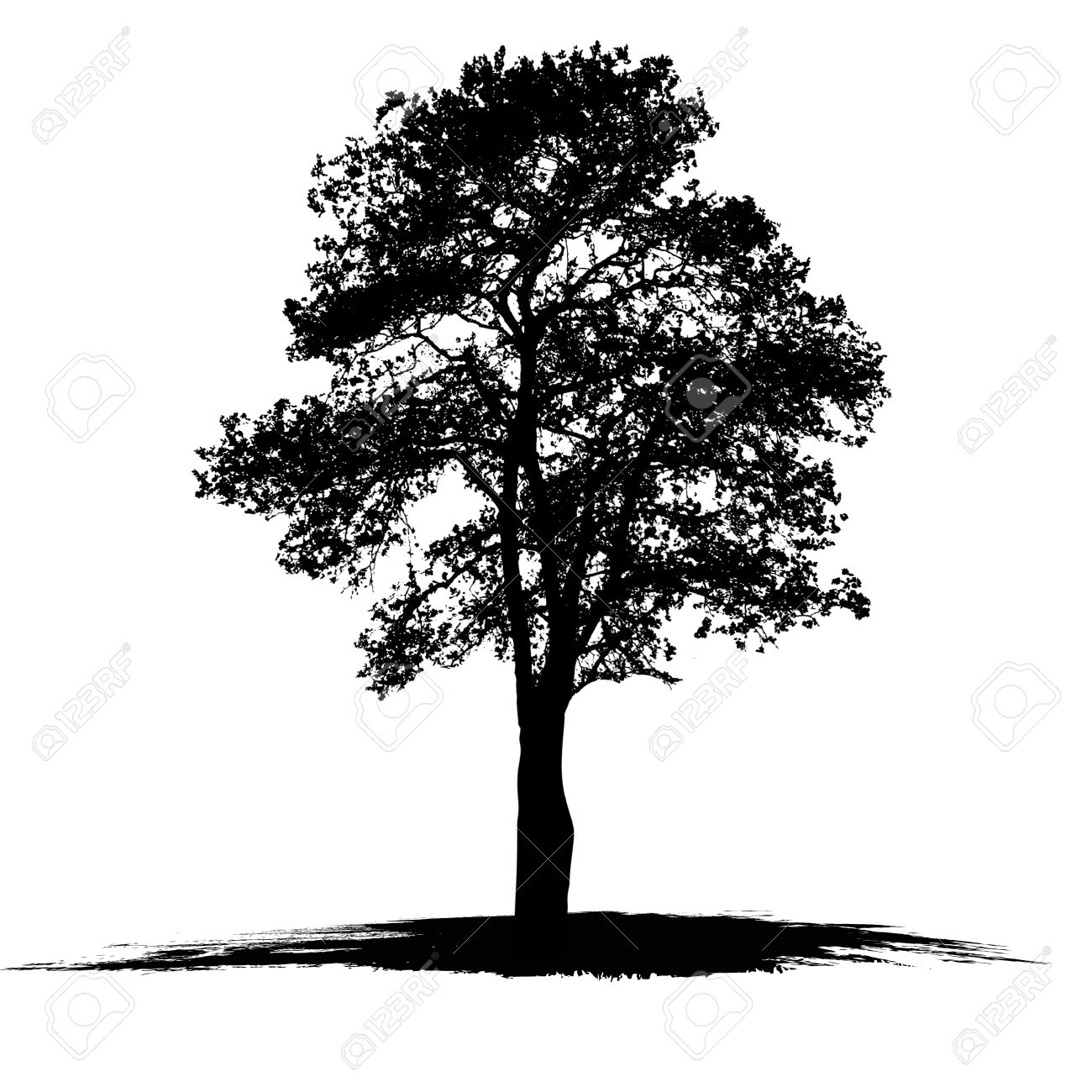 1300x1300 Best Oak Tree Silhouette
