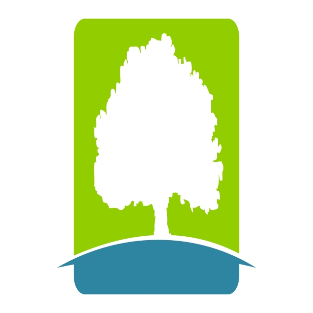 640x640 Oak Tree, Tree, Branch, Leaf Png And Vector With Transparent