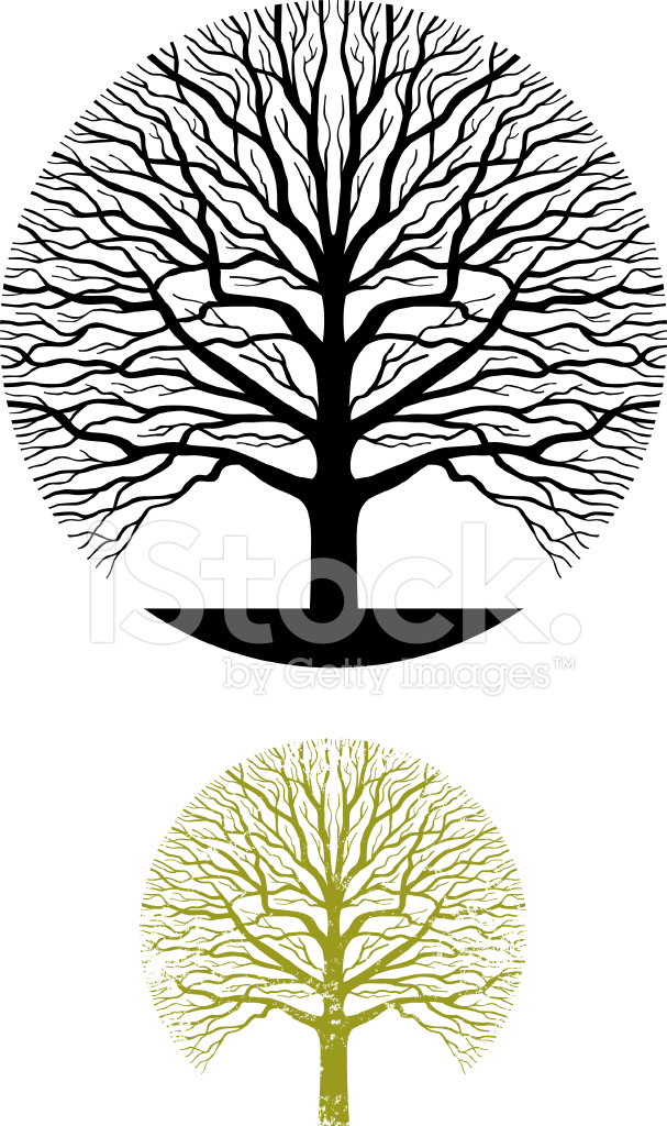 607x1024 Oak Tree Symbol Illustration Stock Vector