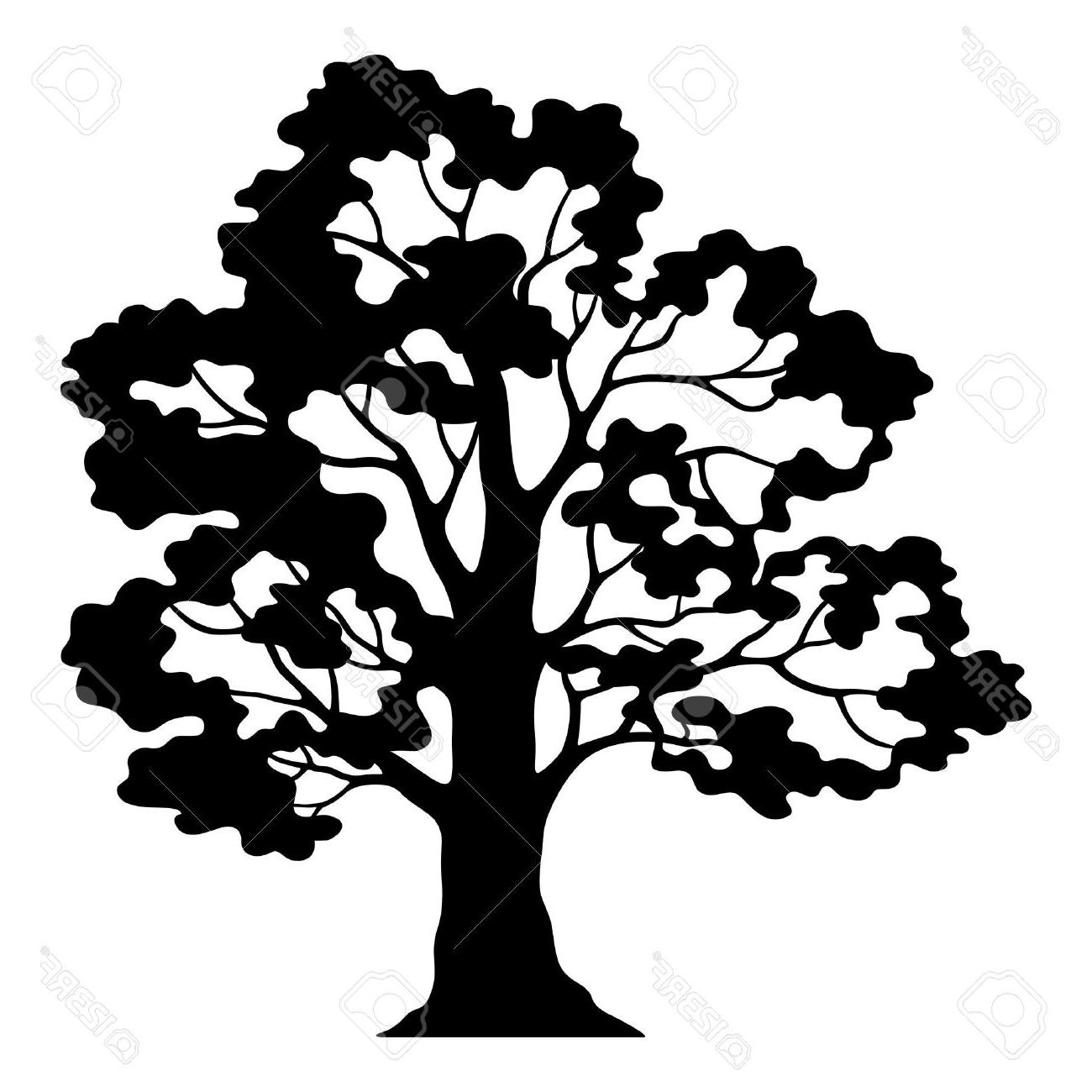 1300x1300 Collection Of 'oak Tree Silhouette' Download More Than Images