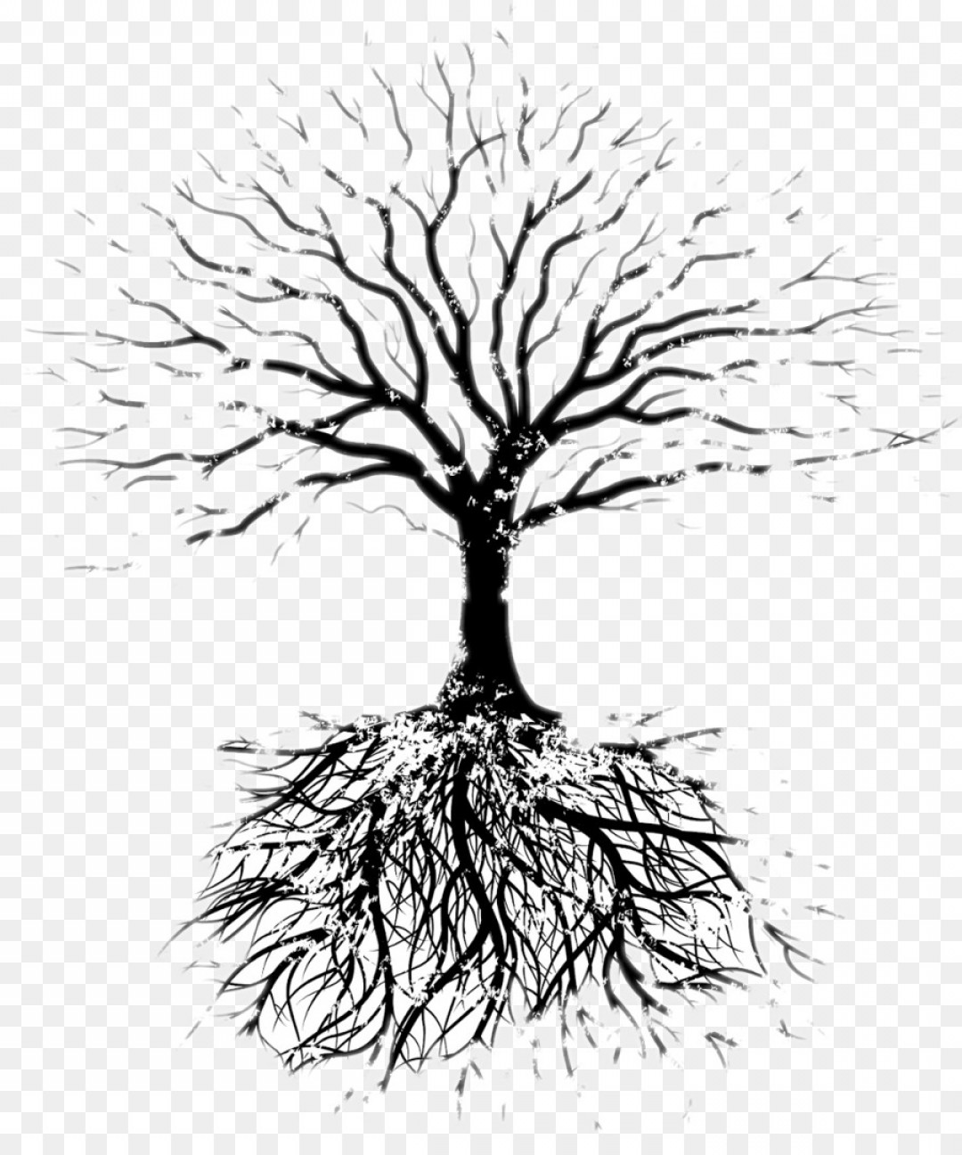 1080x1296 Png Tree Oak Root Branch Tree Vector Studiogrfx