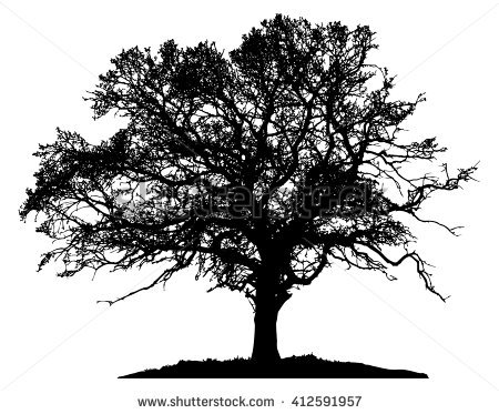 450x373 Collection Of 'oak Tree Silhouette Vector' Download More Than