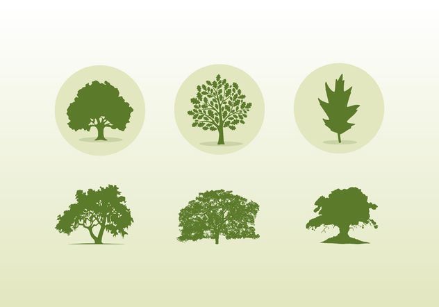 632x442 Various Oak Trees Icons And Silhouettes Free Vector Download