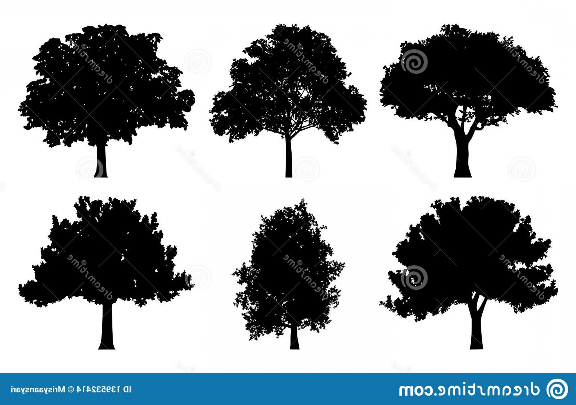 1920x1350 Vector Clip Art Oak Trees Wallkeeper
