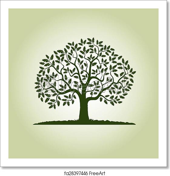 561x581 Free Art Print Of Color Oak Tree Color Oak Tree Vector