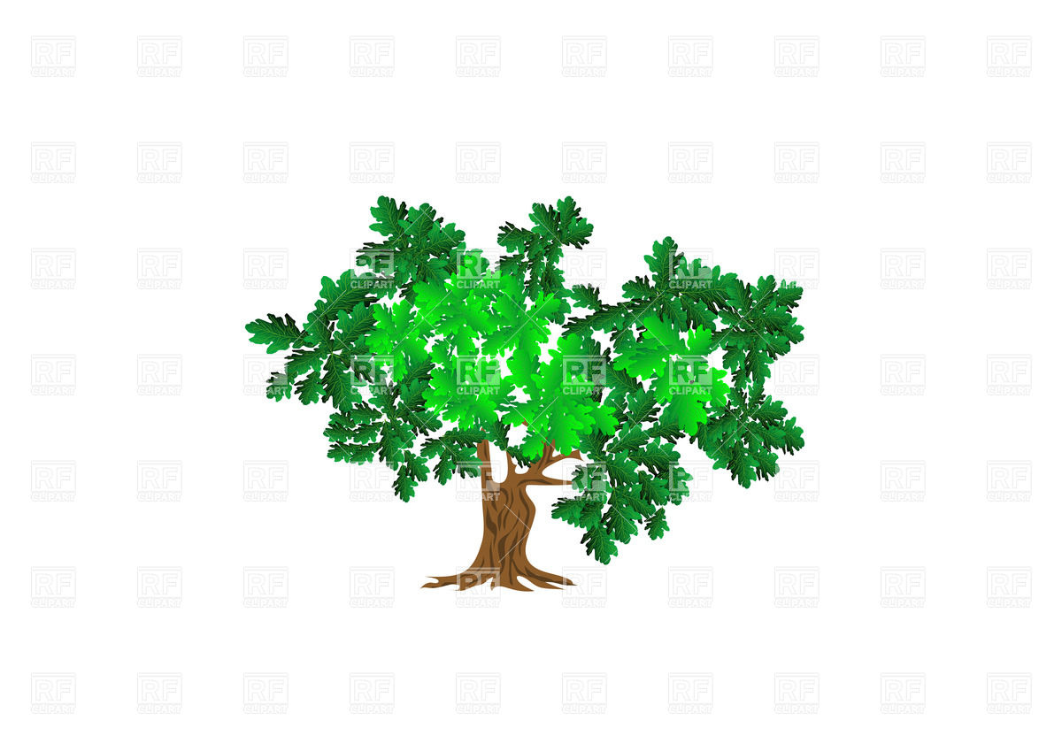 1200x849 Green Oak Tree Vector Image Of Plants And Animals Arkela