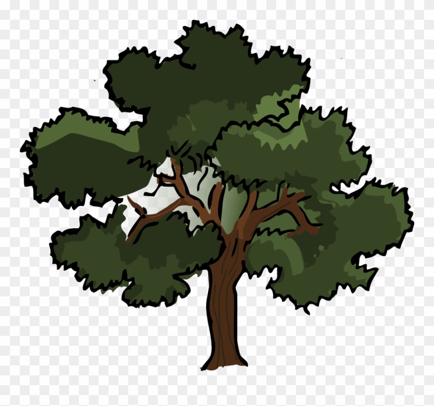 880x822 Oak Tree Vector Free Download